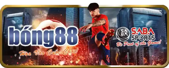 Hỗ trợ 88king 24/7
